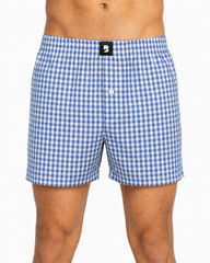 Blue Gingham