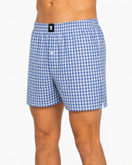 Blue Gingham