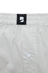 Silver Stripe